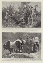 El Duque de Clarence en India